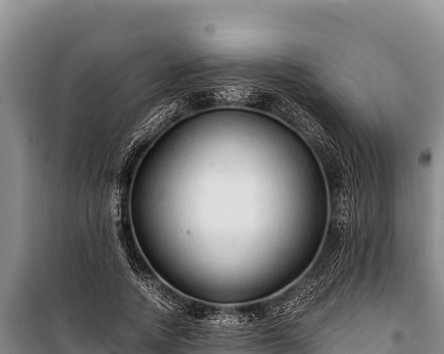 X0000100860738200806271159