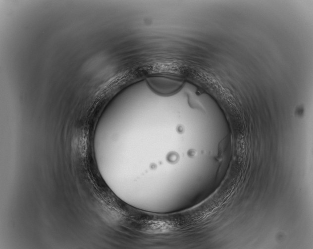 X0000100860741200806271159