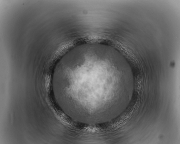 X0000100860742200806271159