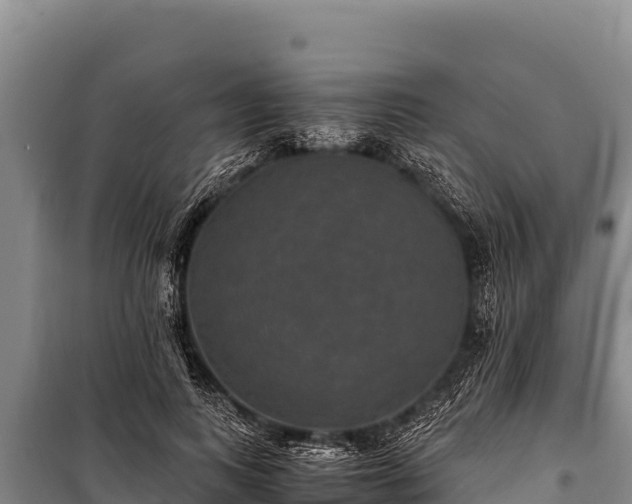 X0000100860743200806271159