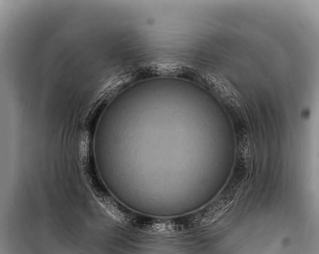 X0000100860744200806271159