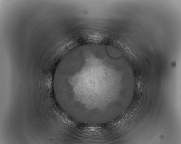 X0000100860745200806271159