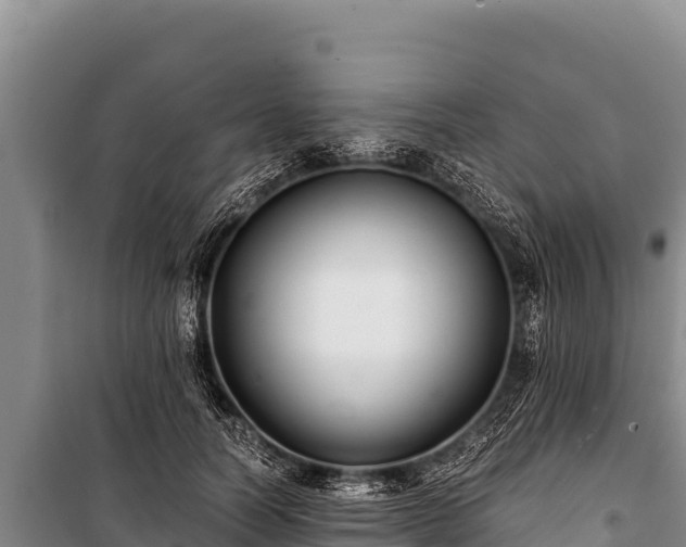 X0000100860746200806271159