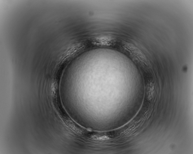 X0000100860747200806271159