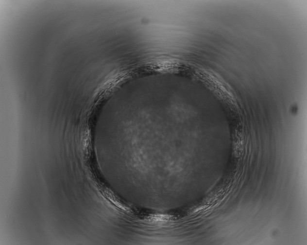 X0000100860748200806271159