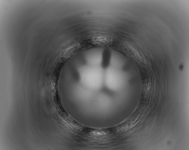 X0000100860749200806271159