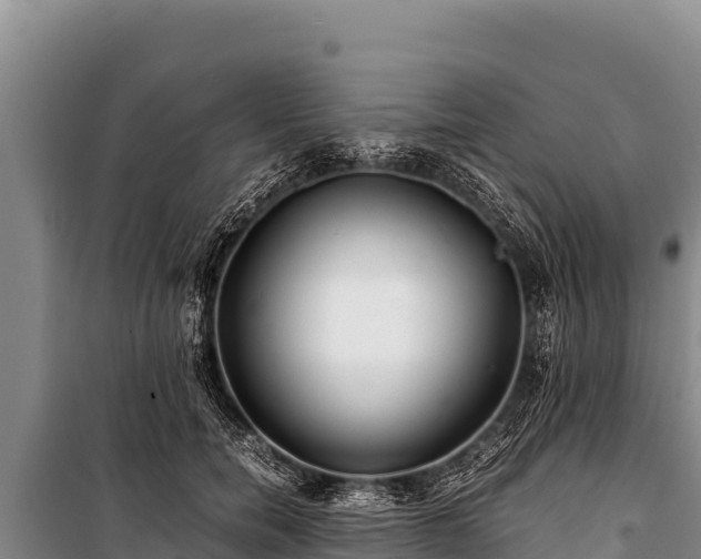 X0000100860750200806271159