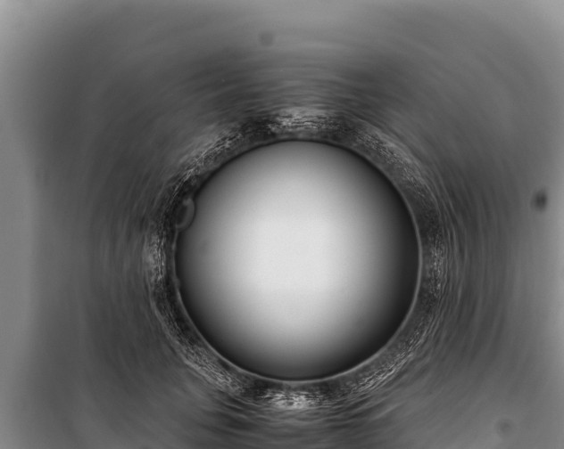 X0000100860751200806271159