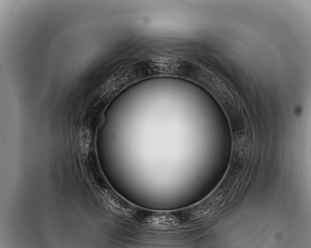 X0000100860752200806271159