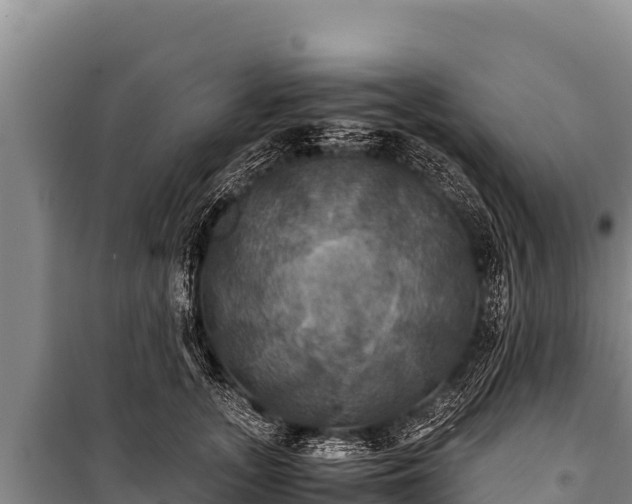 X0000100860755200806271200