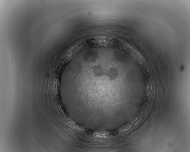 X0000100860757200806271200