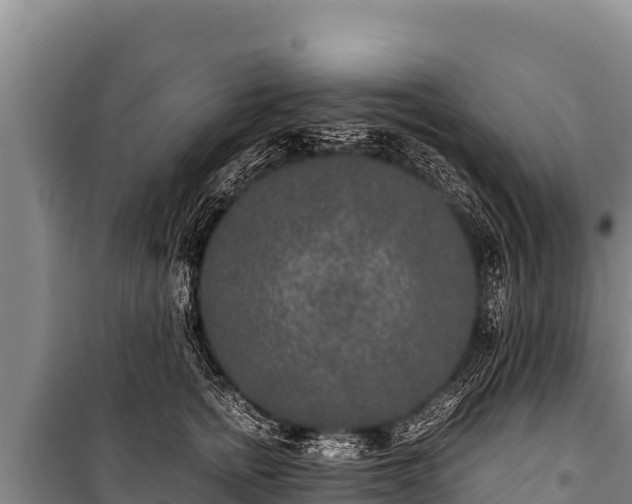 X0000100860758200806271200