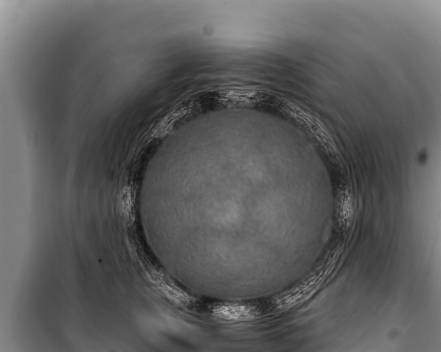 X0000100860759200806271200