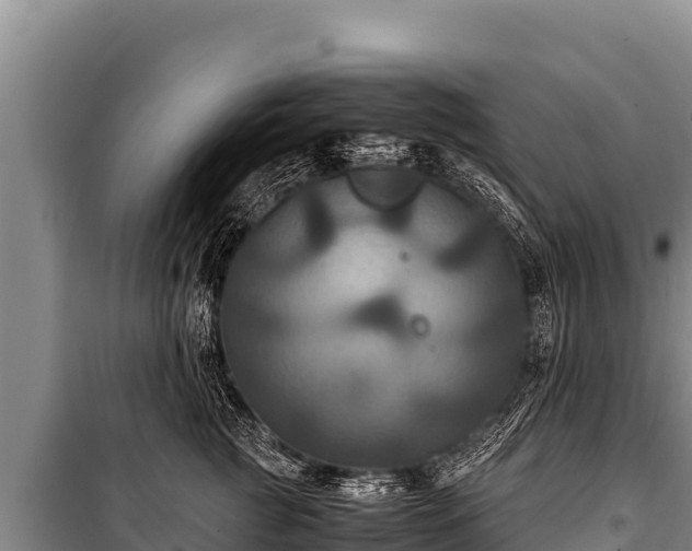 X0000100860761200806271200