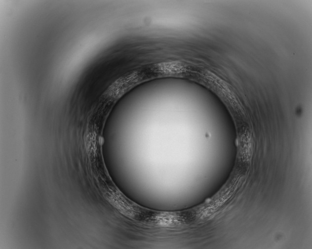 X0000100860762200806271200