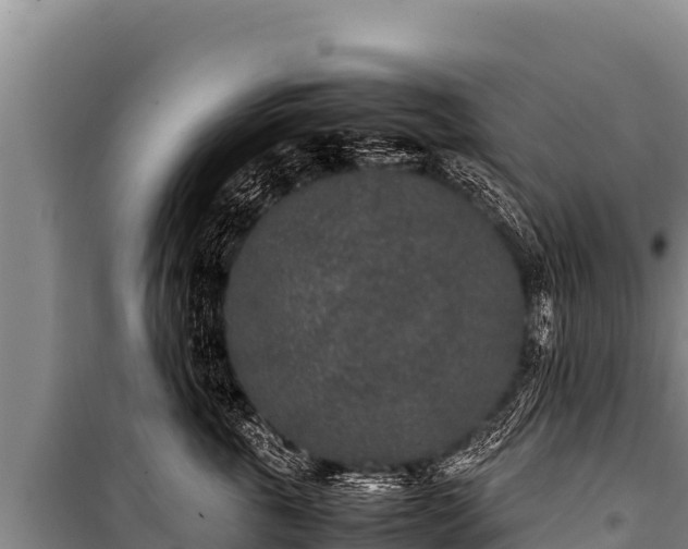 X0000100860763200806271200