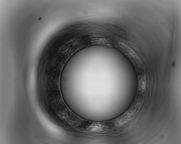 X0000100860764200806271200