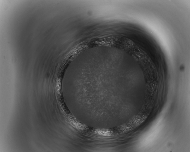 X0000100860767200806271200