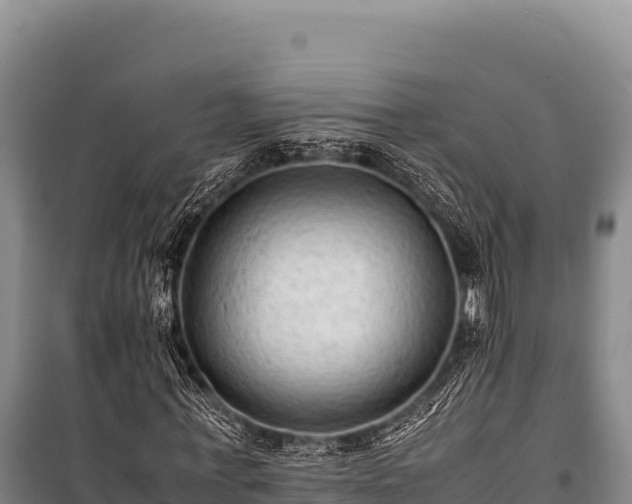 X0000100860771200806271159