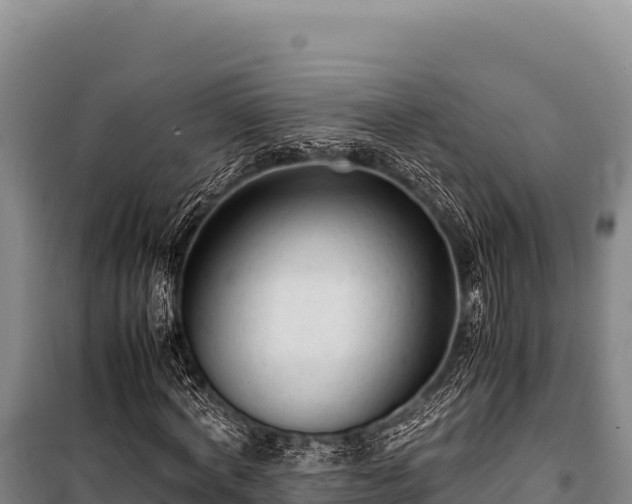 X0000100860772200806271159