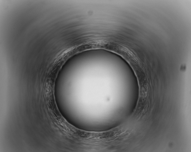 X0000100860773200806271159