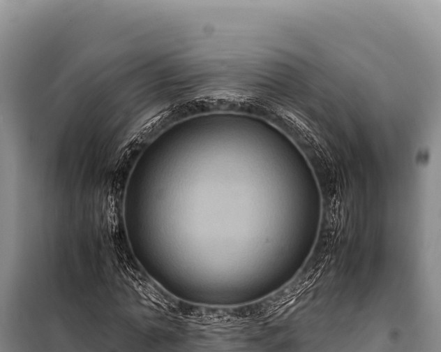 X0000100860774200806271159