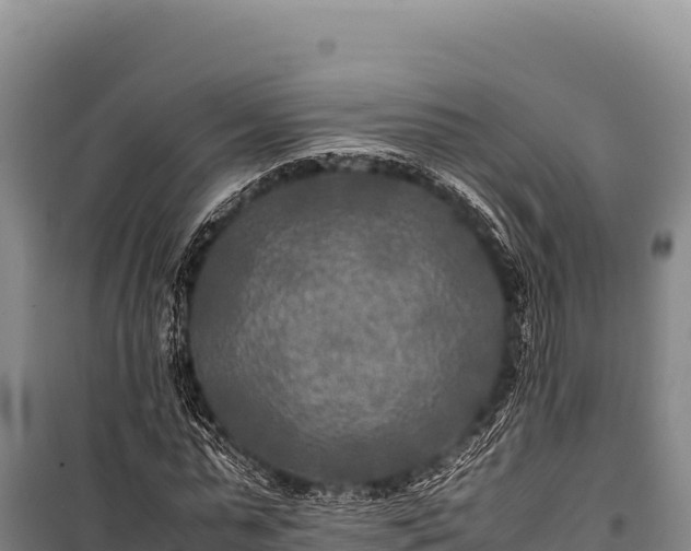 X0000100860775200806271159