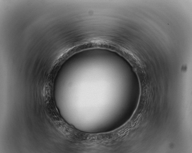 X0000100860776200806271159