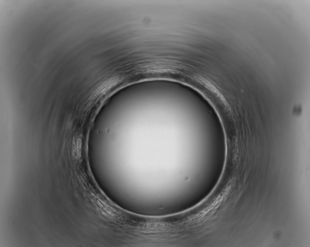 X0000100860777200806271159