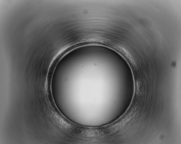 X0000100860780200806271159