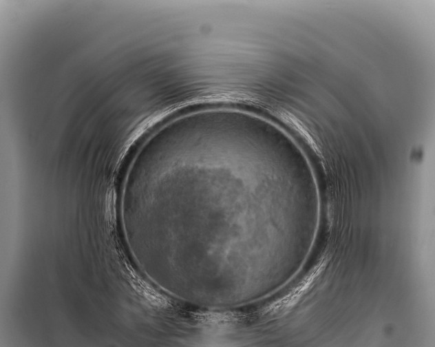 X0000100860781200806271159