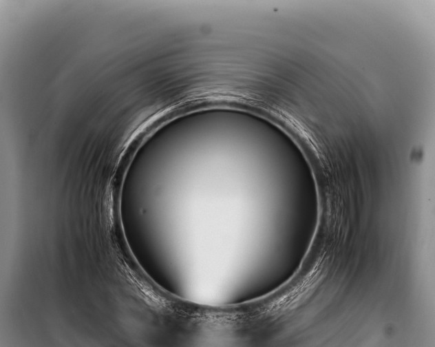 X0000100860782200806271159