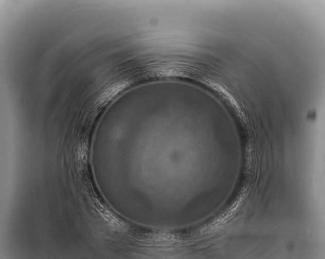 X0000100860785200806271159