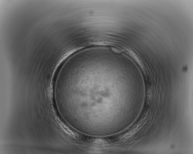 X0000100860787200806271159