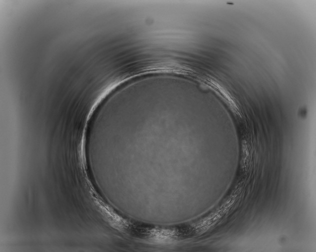 X0000100860788200806271159