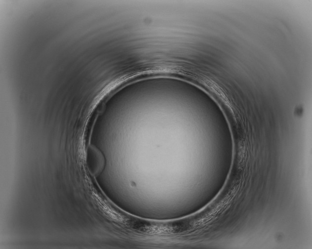 X0000100860789200806271159