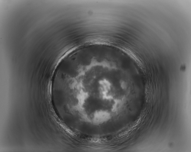 X0000100860790200806271159