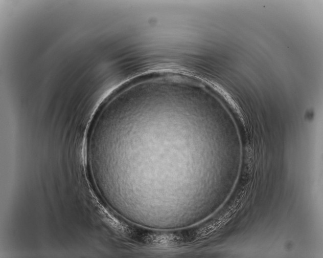 X0000100860791200806271159