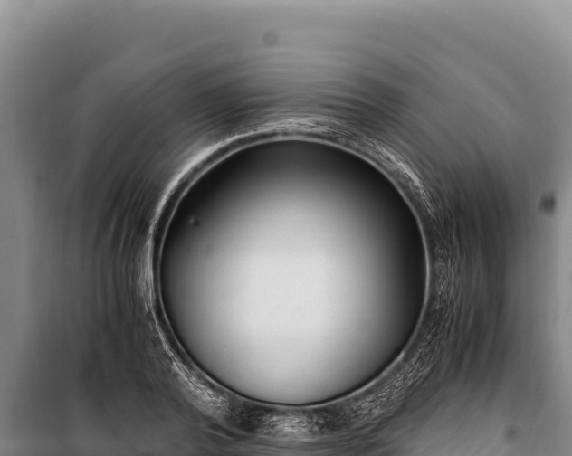 X0000100860792200806271159