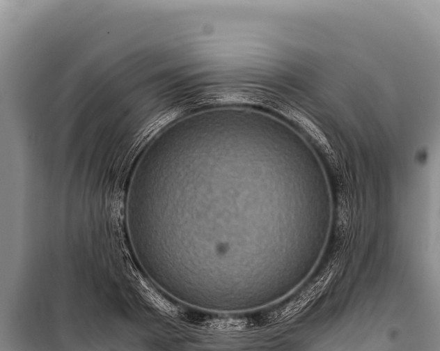 X0000100860793200806271159