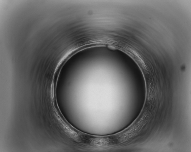 X0000100860796200806271159