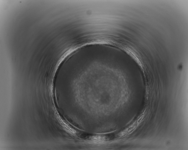 X0000100860797200806271159