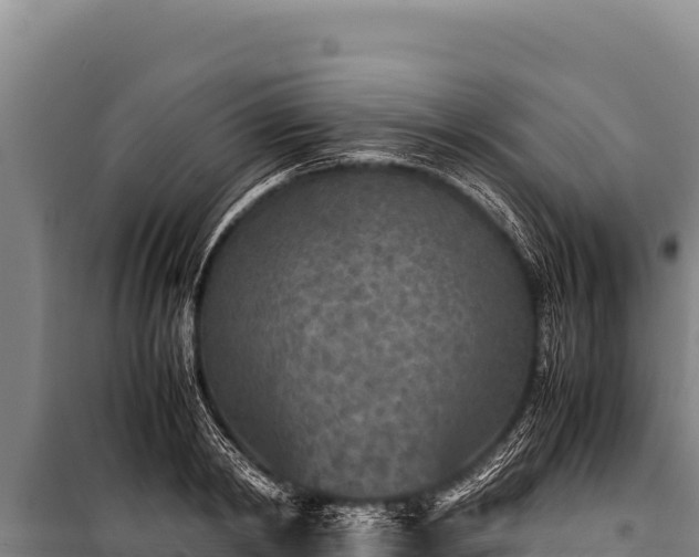 X0000100860798200806271159