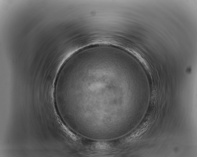 X0000100860799200806271159