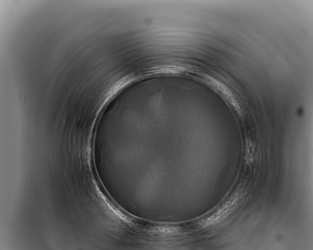 X0000100860802200806271159