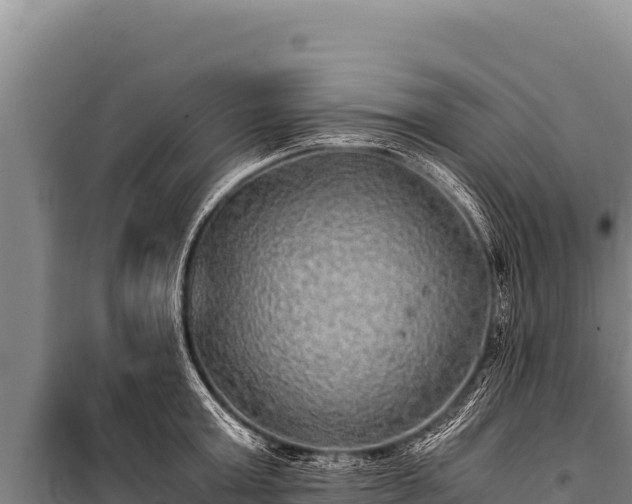 X0000100860803200806271159