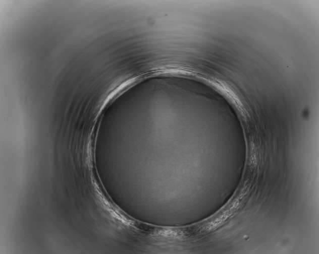 X0000100860806200806271159