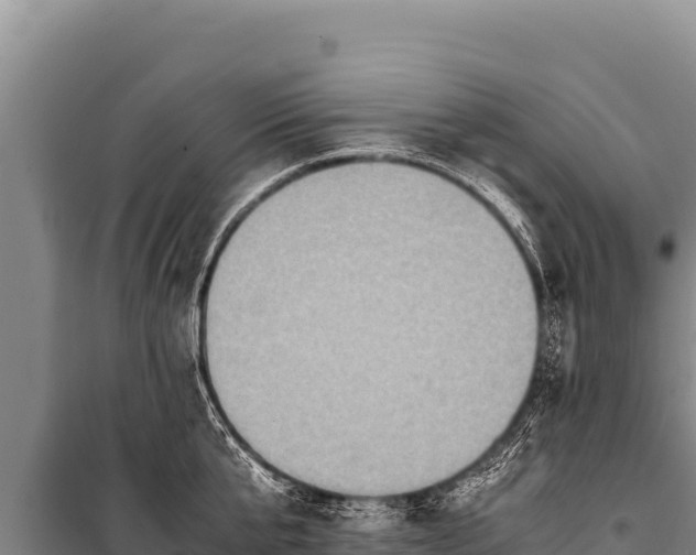 X0000100860807200806271158