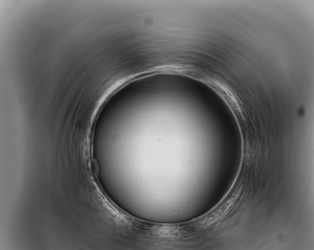 X0000100860808200806271158