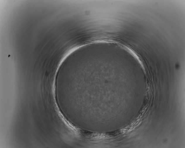 X0000100860811200806271158